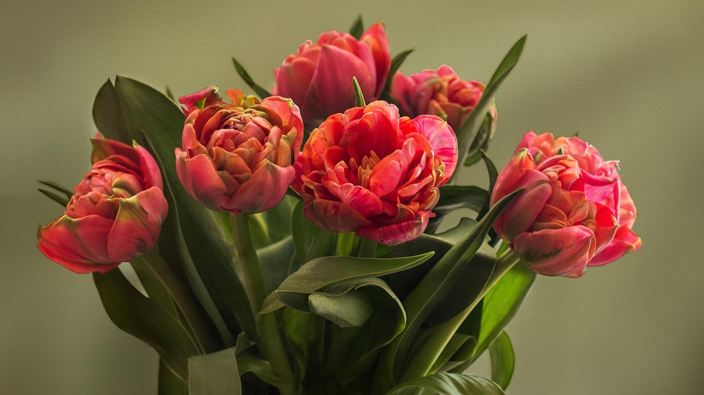 Verwöhnende Kosmetikbehandlungen zum Muttertag Blumenstrauß mit Tulpen
