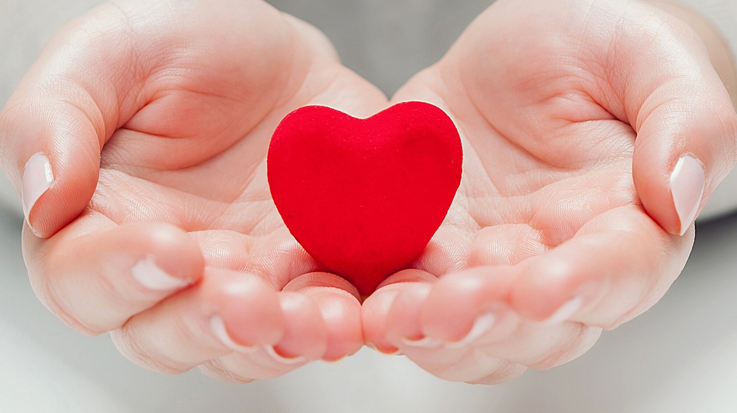 Kleines Dekoherz liegt auf den Handflächen einer Frau